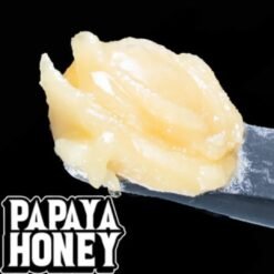 Papaya Honey Live Rosin 1g Tier 1